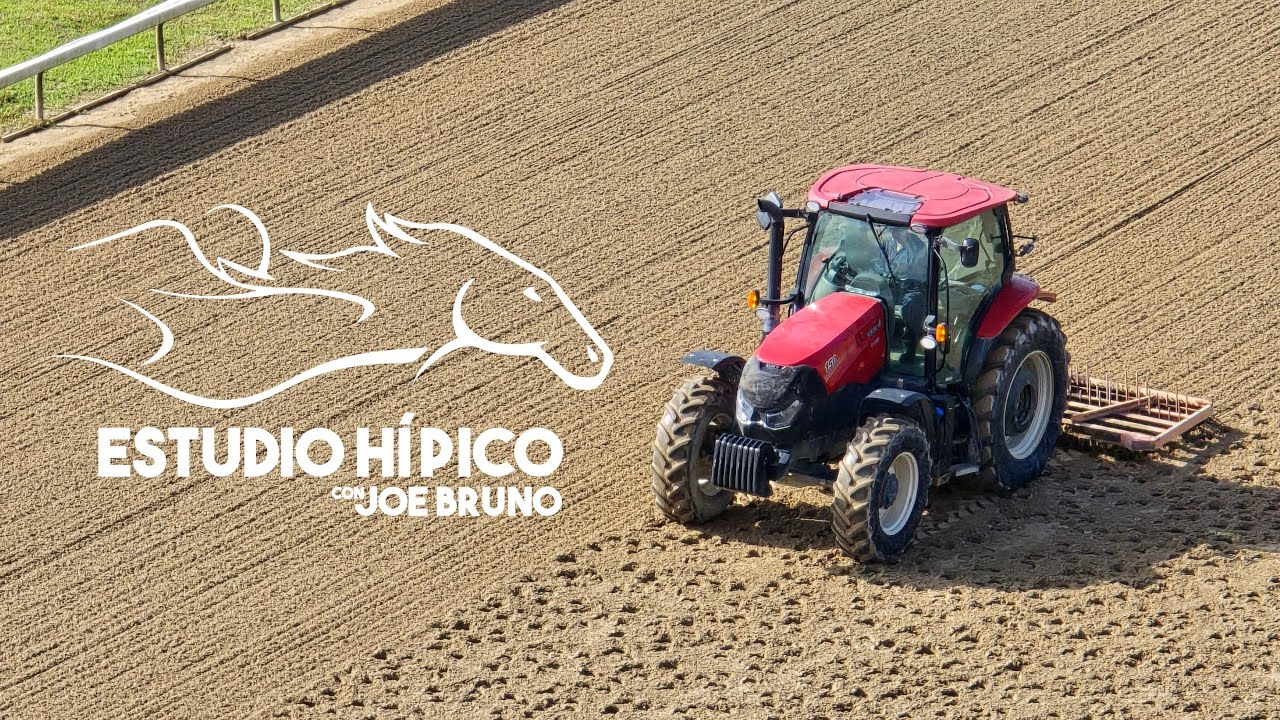 ESTUDIO HIPICO - Viernes 13 De Junio De 2025