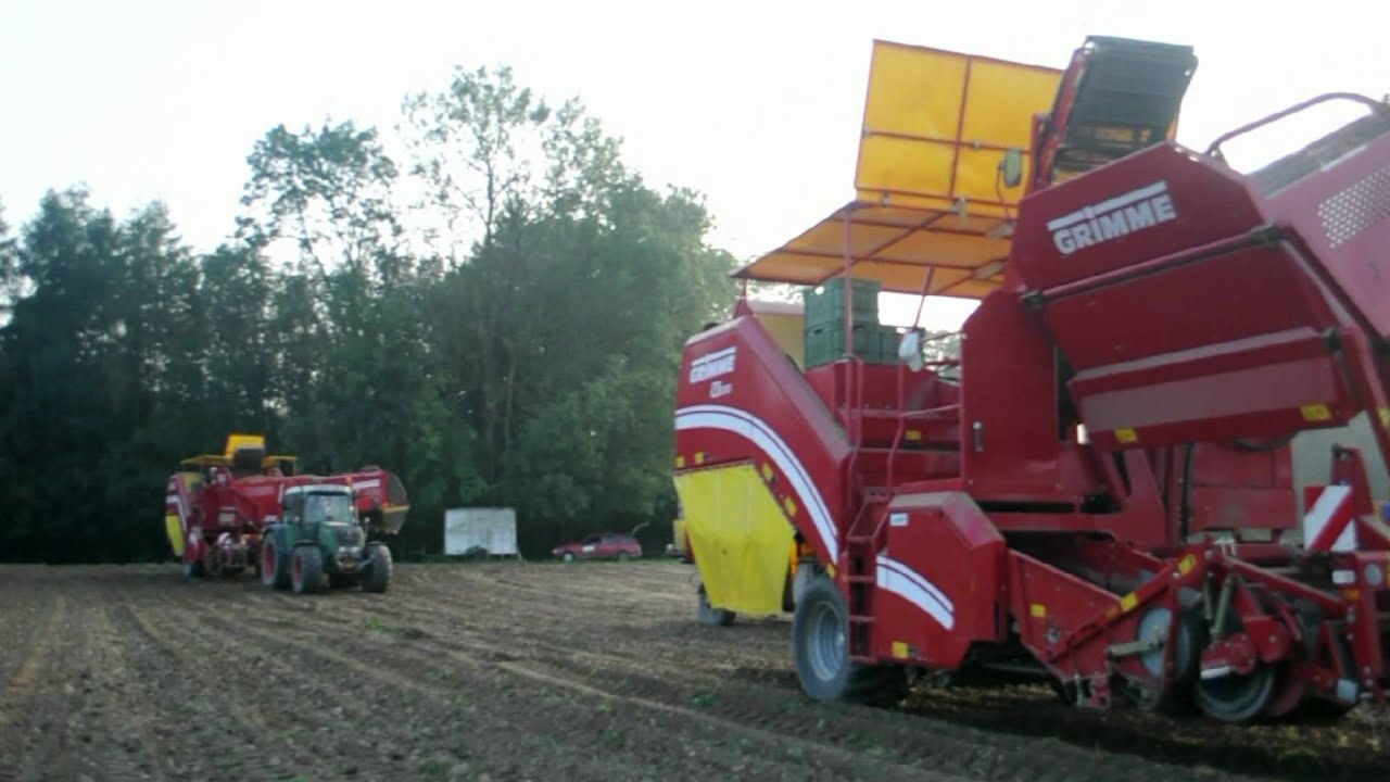 Auf allen Böden zuhause: Grimme SE 75/85-55