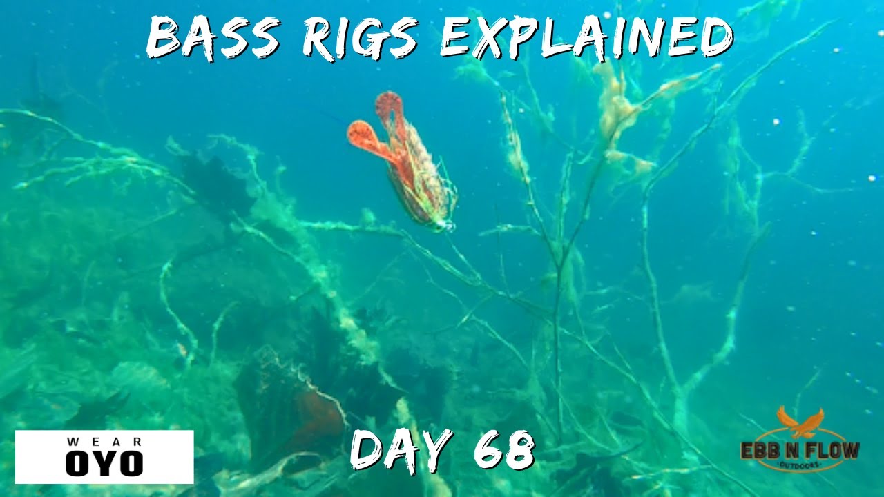 ULTIMATE Bass Rigging Guide: Underwater Footage & How-To Setup for Every Component