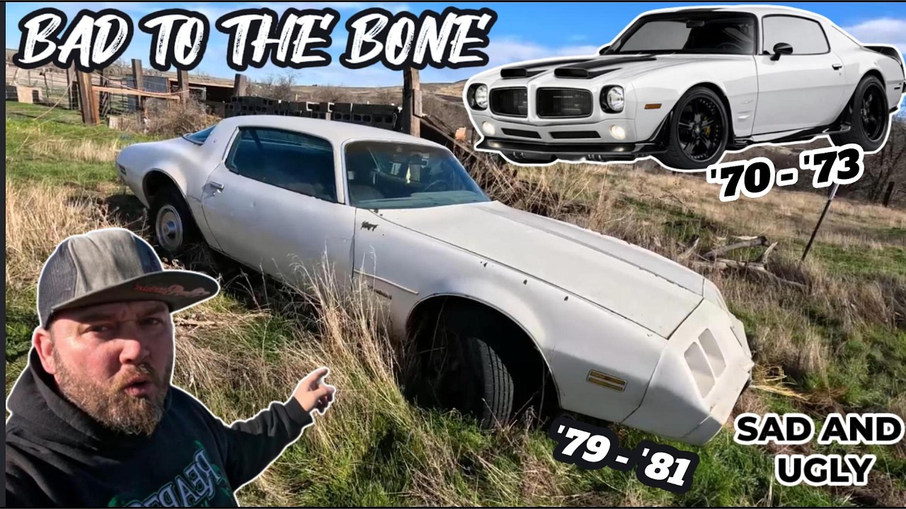 FREE Pontiac FIREBIRD field find and RESCUE