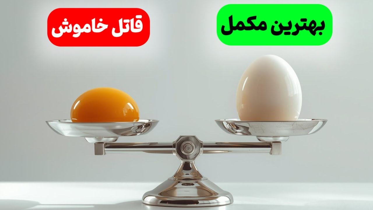 زرده تخم مرغ رو دور نریز |حقایق شوکه کننده درمورد کلسترول تخم مرغ 