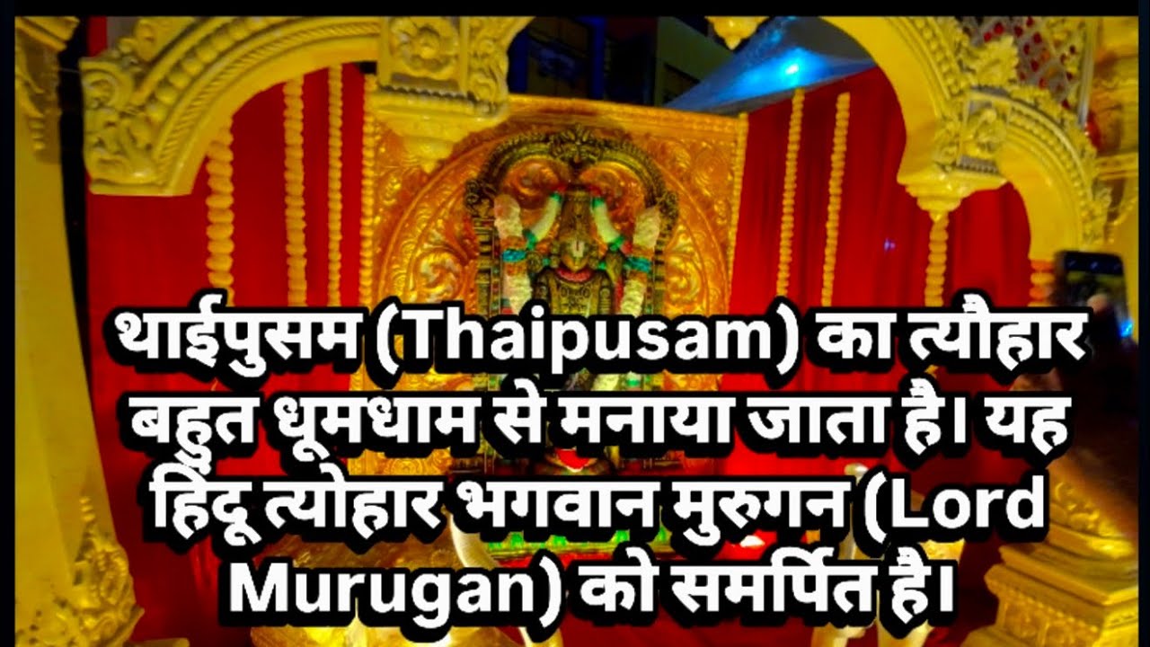 थाईपुसम (Thaipusam) त्यौहार बहुत धूमधाम से मनाया जाता है।यह हिंदू त्योहार भगवान मुरुगन को समर्पित है