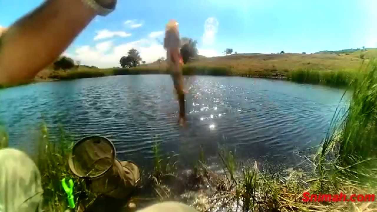 Риболов на язовир Радуловци /Воден свят/ - август 2015