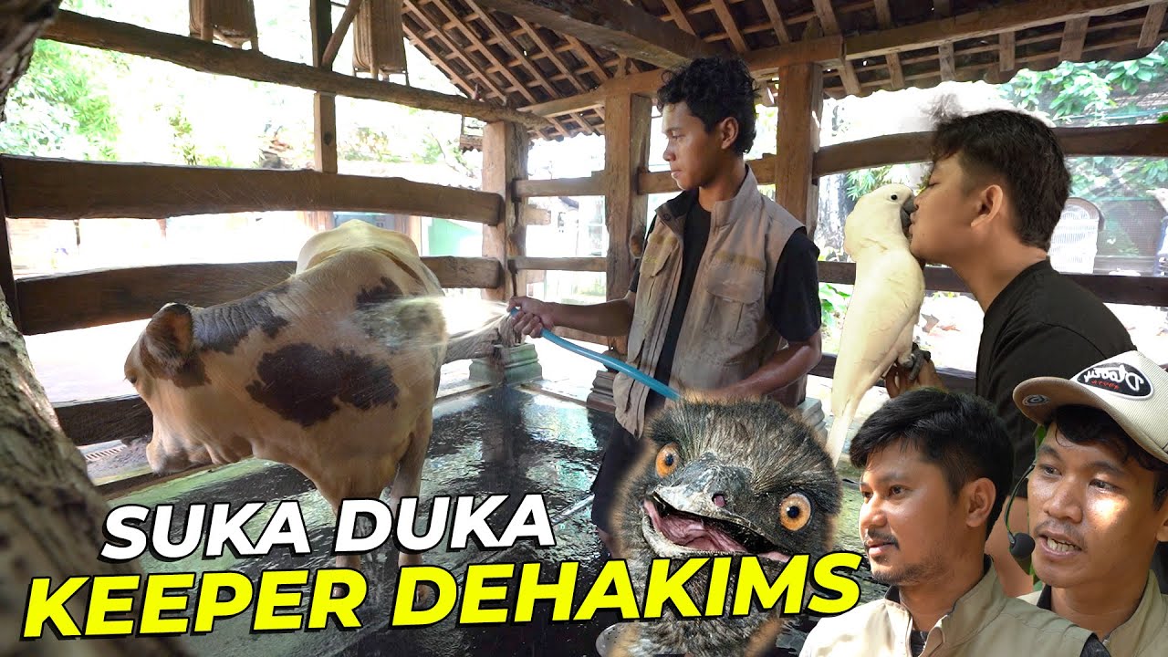 BONGKAR RAHASIA KEEPER DEHAKIMS SELAMA INI..!!