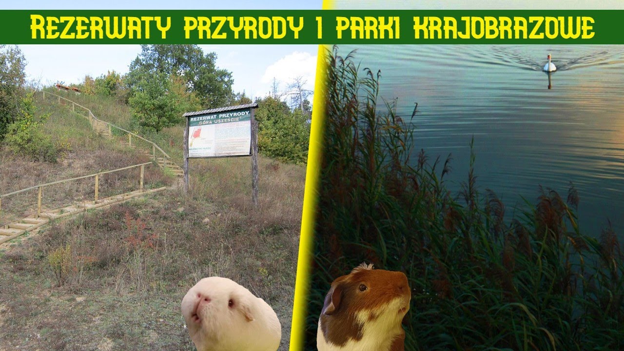 Ochrona środowiska przyrodniczego: Rezerwaty przyrody i parki krajobrazowe (geografia - lekcja)