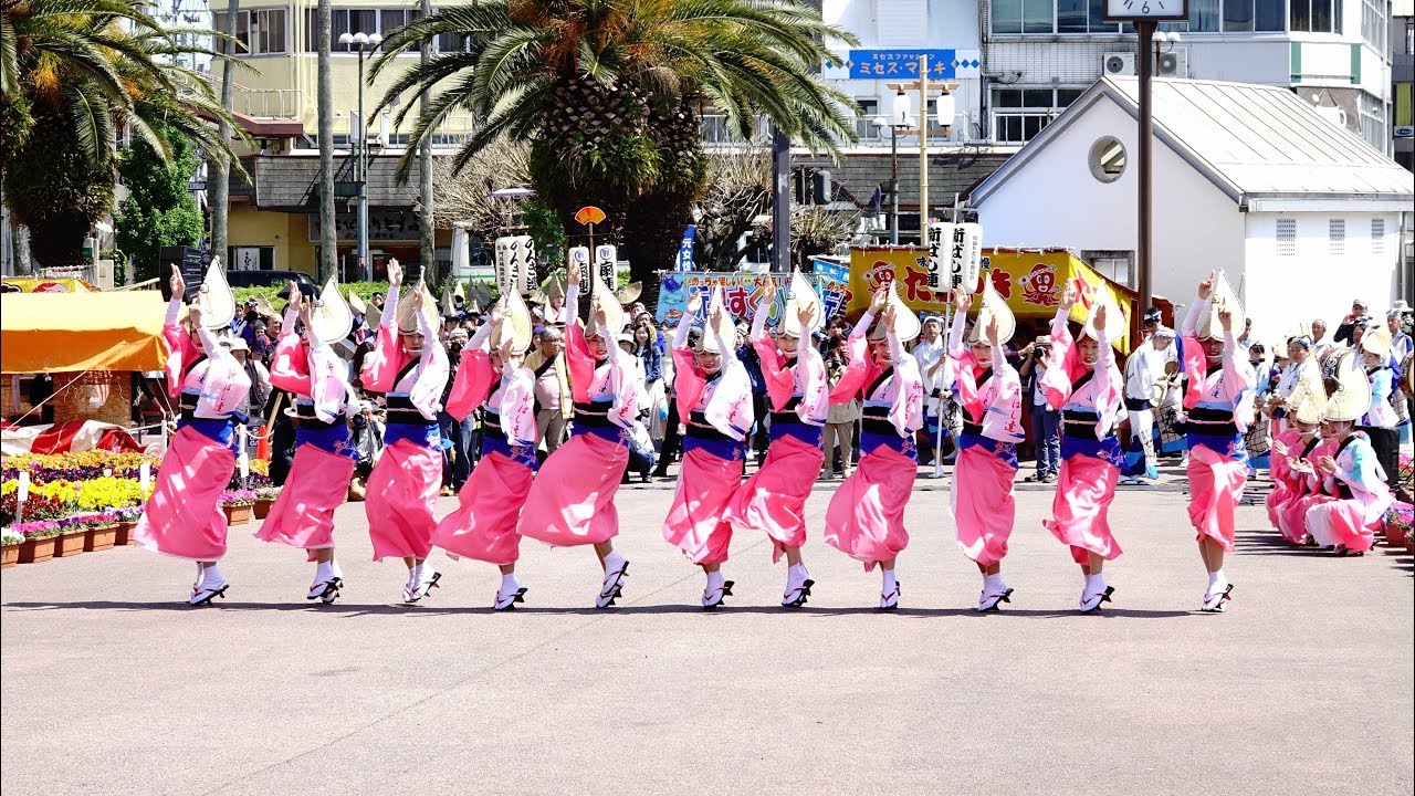進化した竹踊り「新ばし連」阿波おどり　はなはる2019@徳島藍場浜