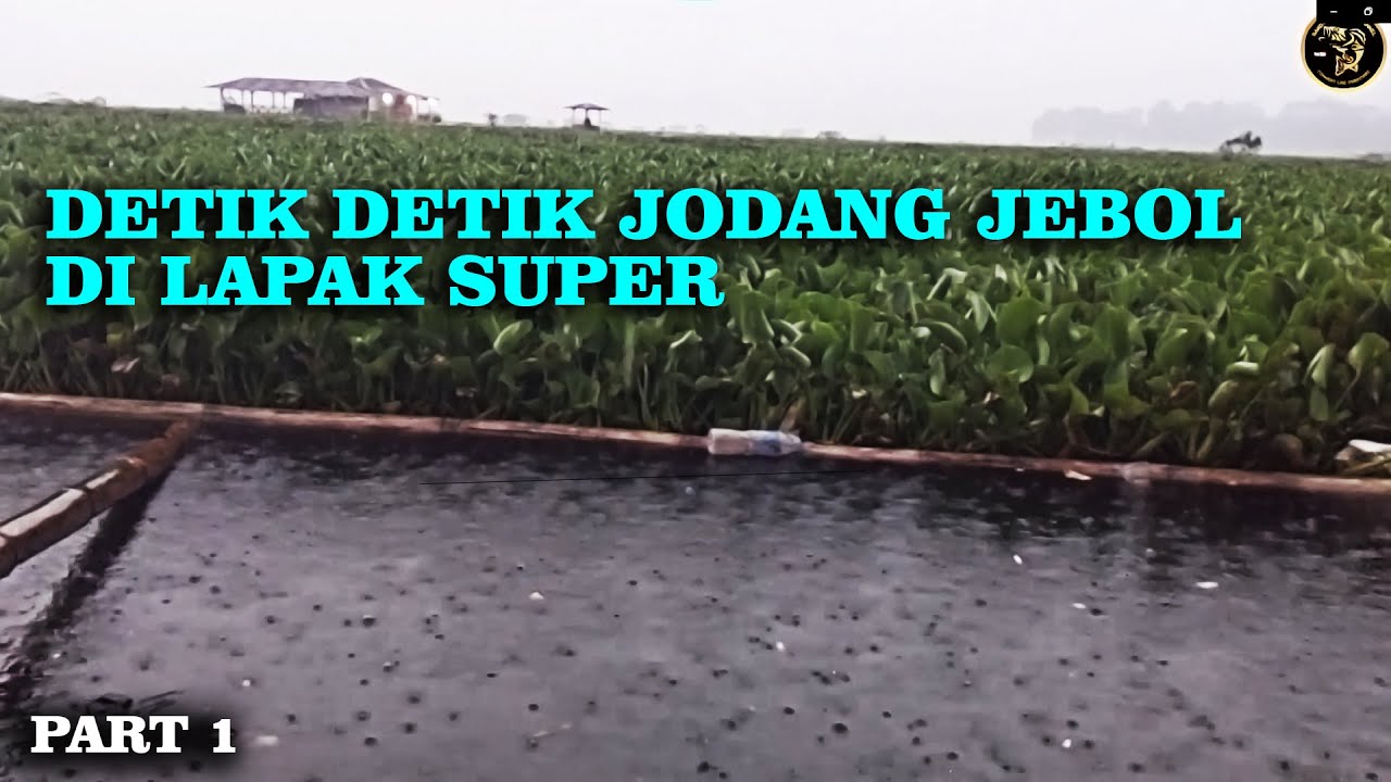 HUJAN BADAI TIDAK MENGHAMBAT GEMPURAN IKAN !!! - Mancing Cirata Terbaru 2023