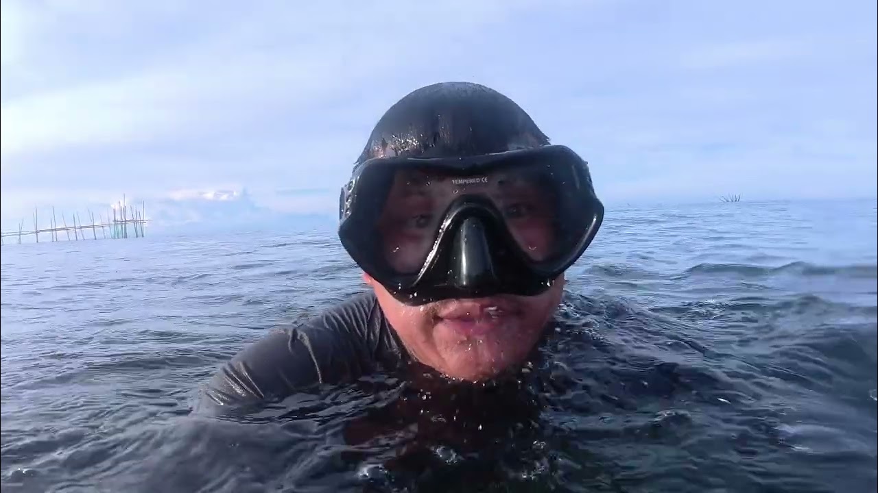 tuyom lang sana kunin ko pero may nakita pa akong masarap pa sa  tuyom di lang nakuha SAYANG.
