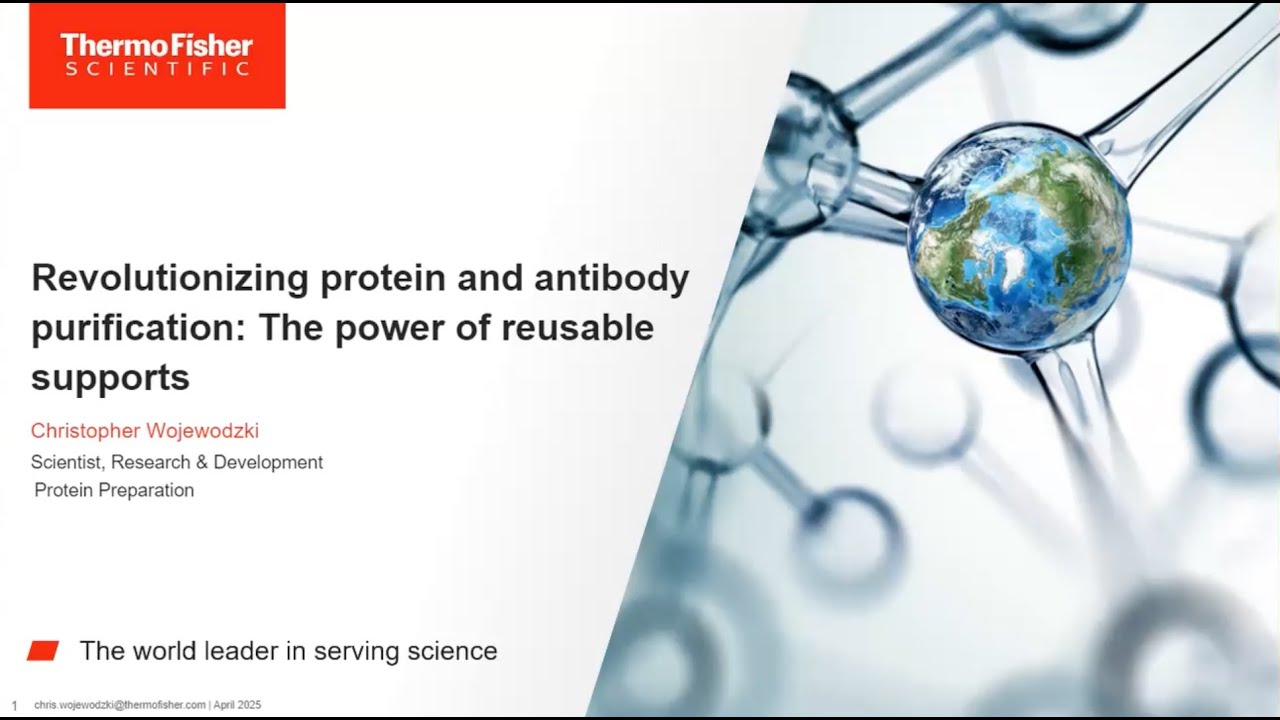 Revolutionizing protein and antibody purification: The power of reusable supports