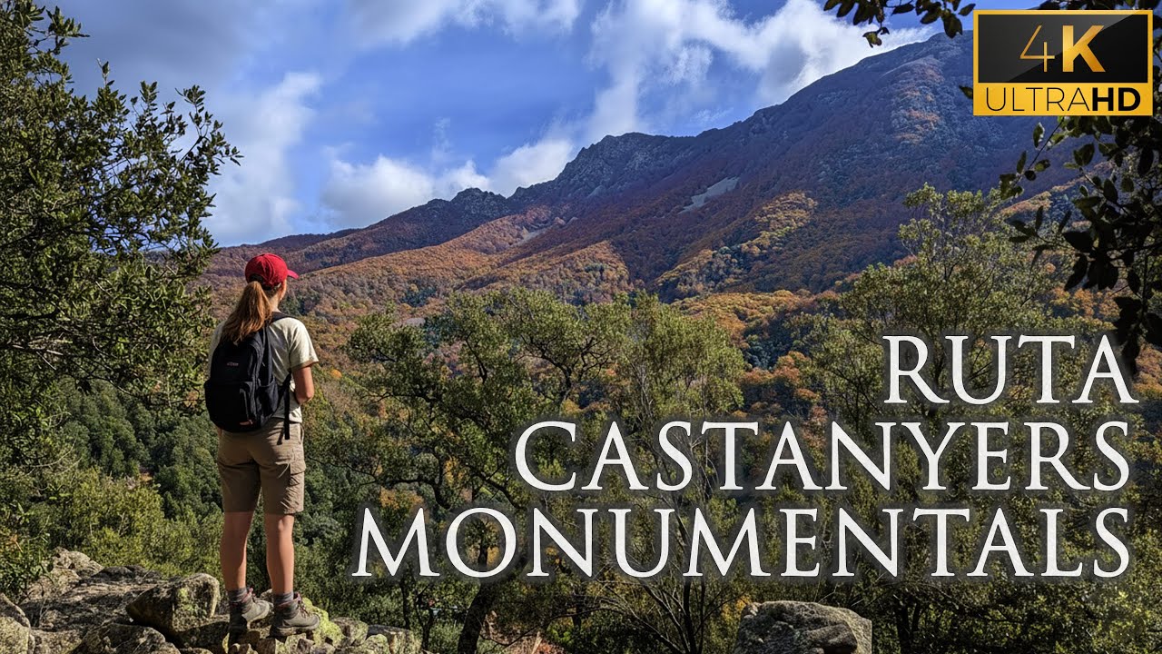 La Ruta dels Castanyers Monumentals del Montseny! 🌰 Senderisme des de l'Hotel Sant Bernat