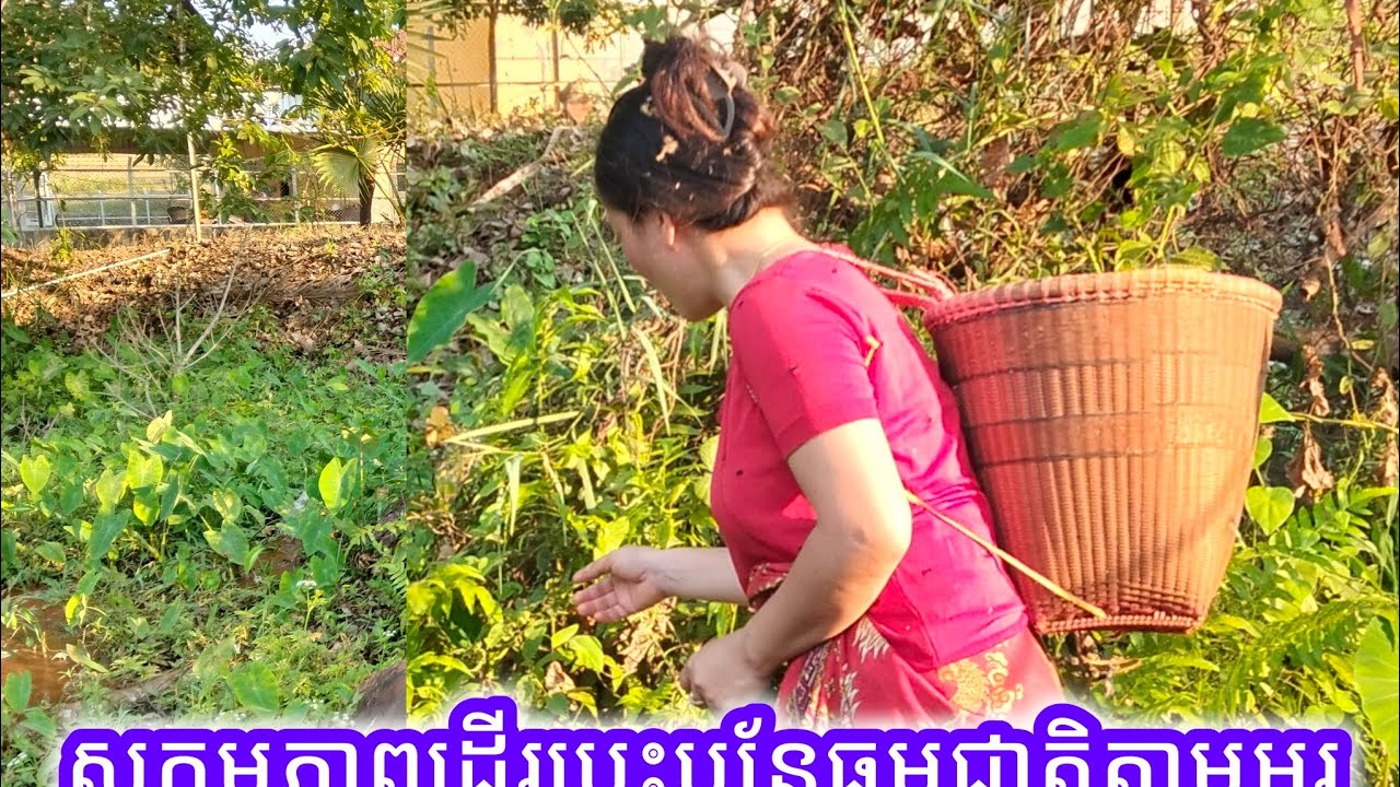 បន្លែ