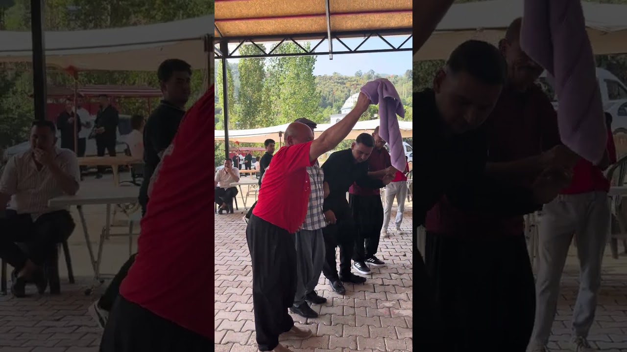 Osmaniye bahçe düğün #halay #barak #davulzurna #düziçi #nurdaği_düğünleri 