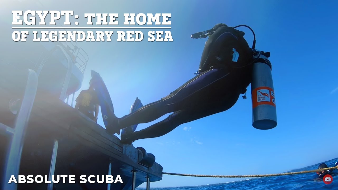 Red Sea Egypt - Deep South Dive Expedition. Check out the healthy coral reefs and playing dolphins!!