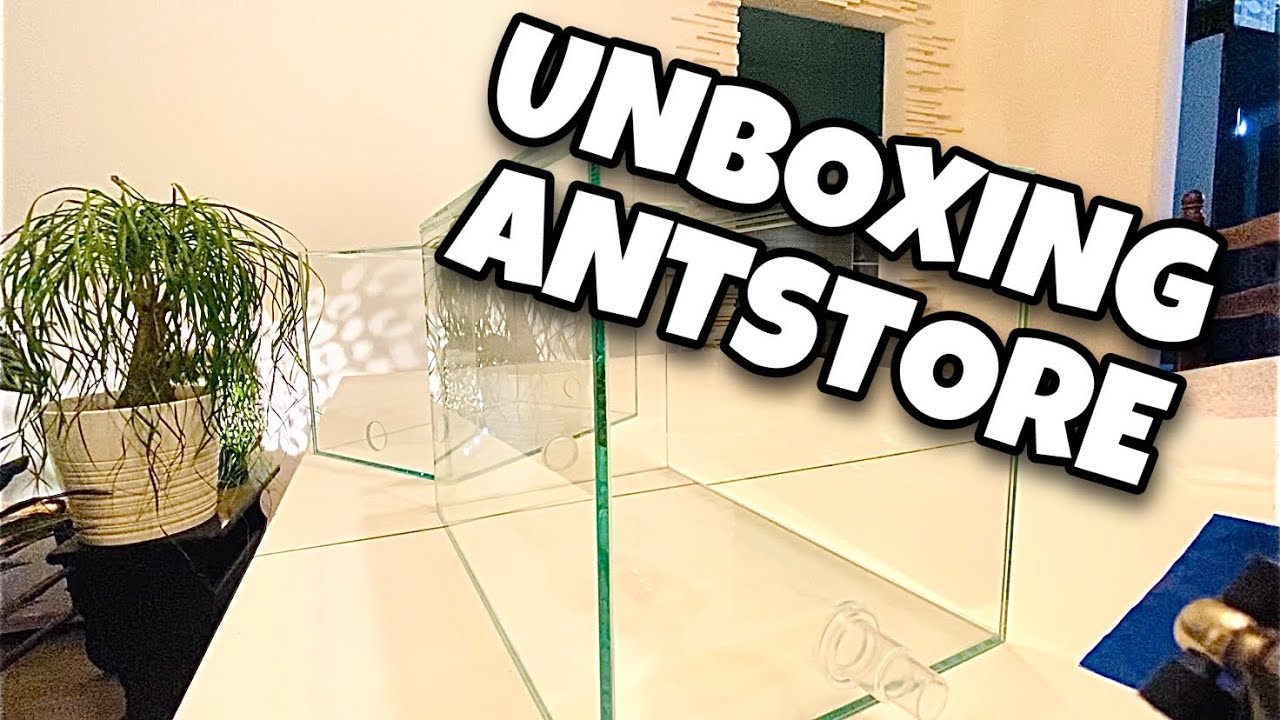 UNBOXING Antstore - Du bon matériel pour ceux qui ne veulent pas de plastique