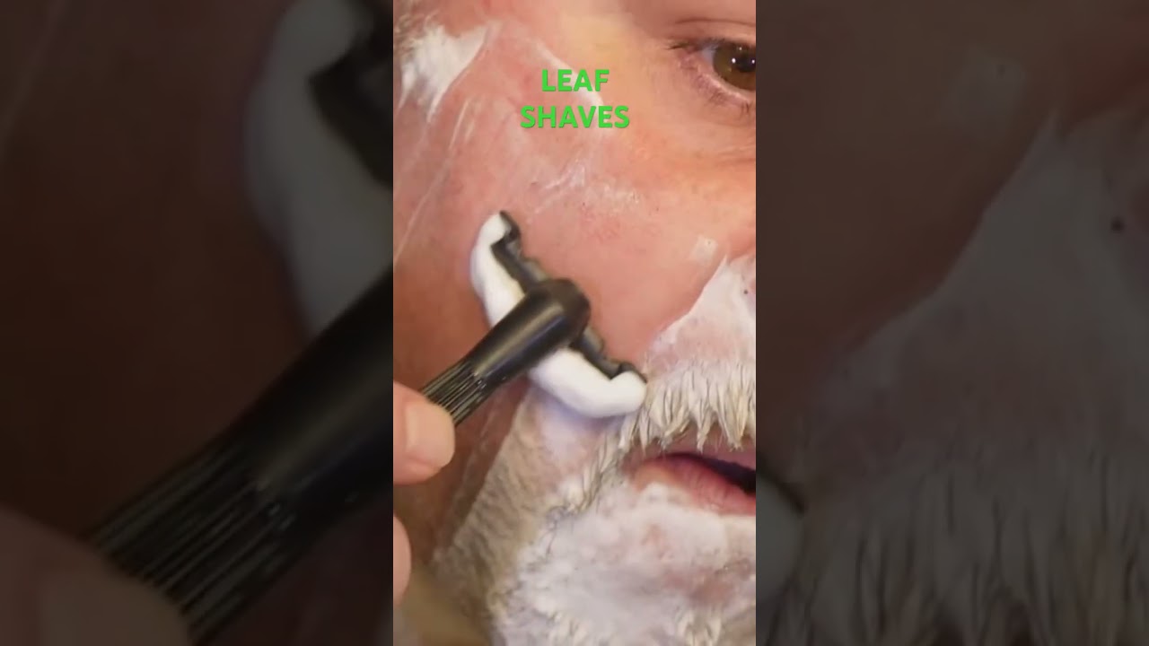 Is Henson Shaving Better Than Leaf Twig