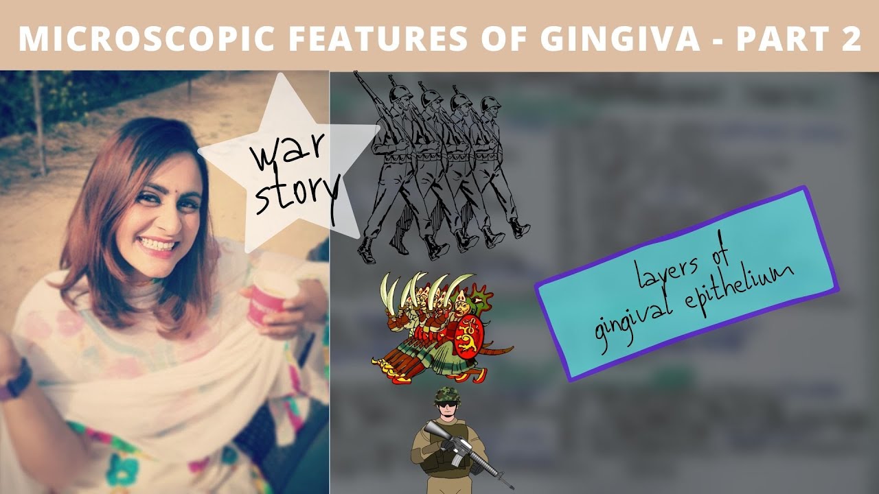 microscopic features of gingiva - storytelling (part 2)