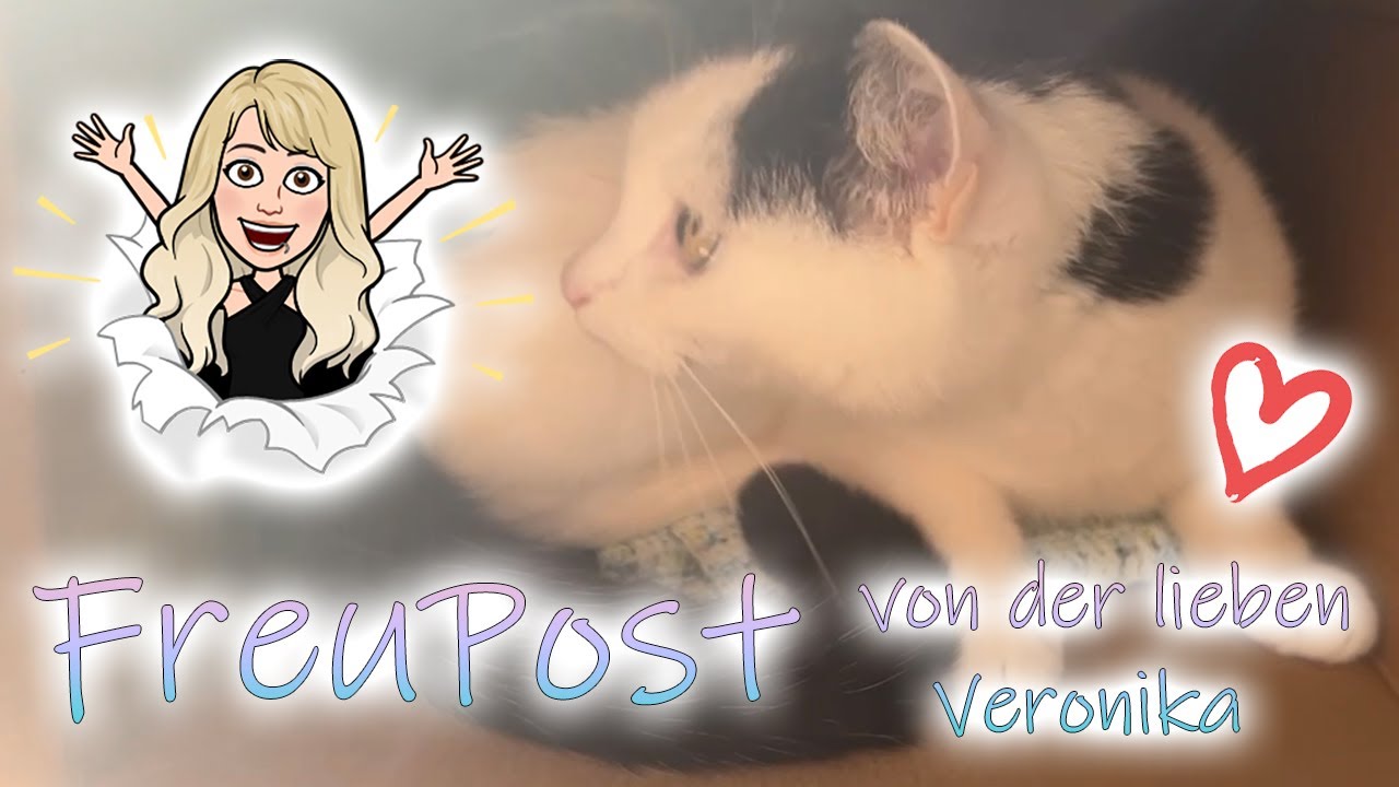 Diamond Painting | Überraschende FreuPost von der lieben Veronika | Viele schöne Painting Sachen