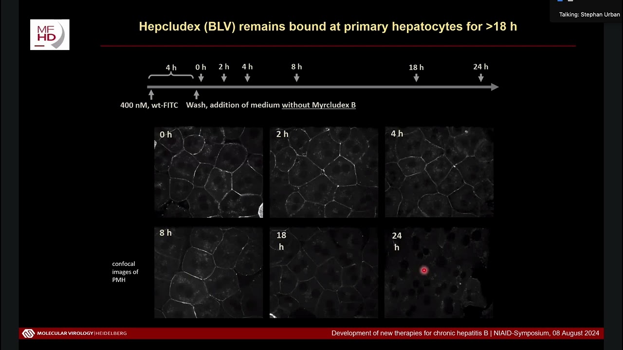 Entry Inhibitors for HBV and HDV (Bulevirtide) - Stephan Urban