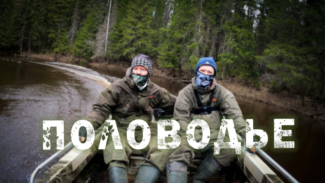 В половодье по лесной реке/ Неман 1 на TOHATSU 9.8 4T