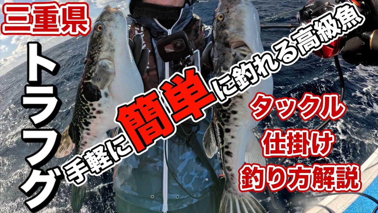 三重トラフグ釣り 虎フグは簡単に手軽なタックルで釣れます タックル・仕掛け・釣り方を解説