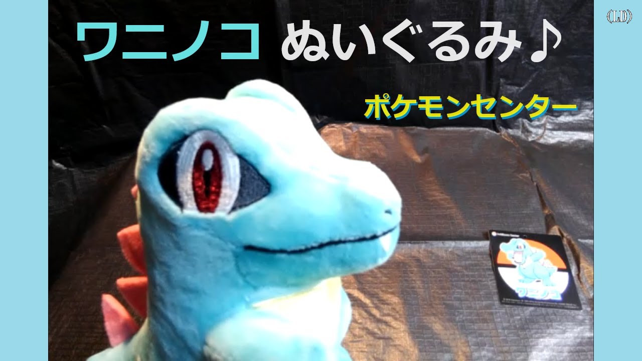 【ポケモンセンター】 ワニノコ ぬいぐるみ♪ 紹介動画～♪（ポケモン ぬいぐるみ）