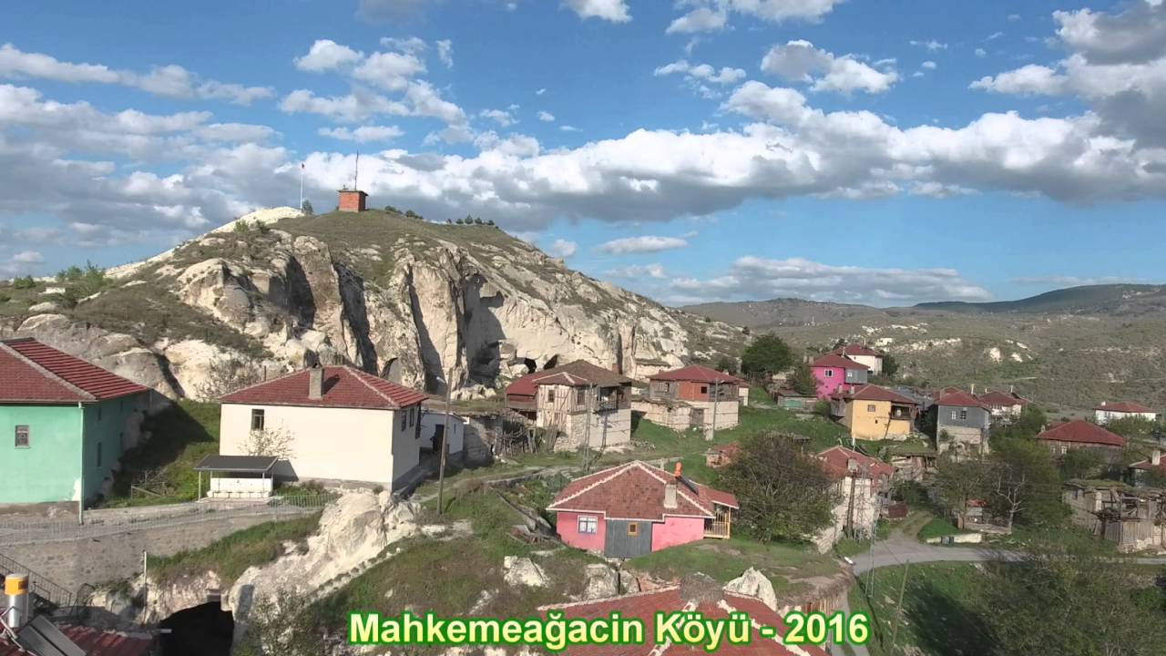 Mahkemeagacin koyu - 2016