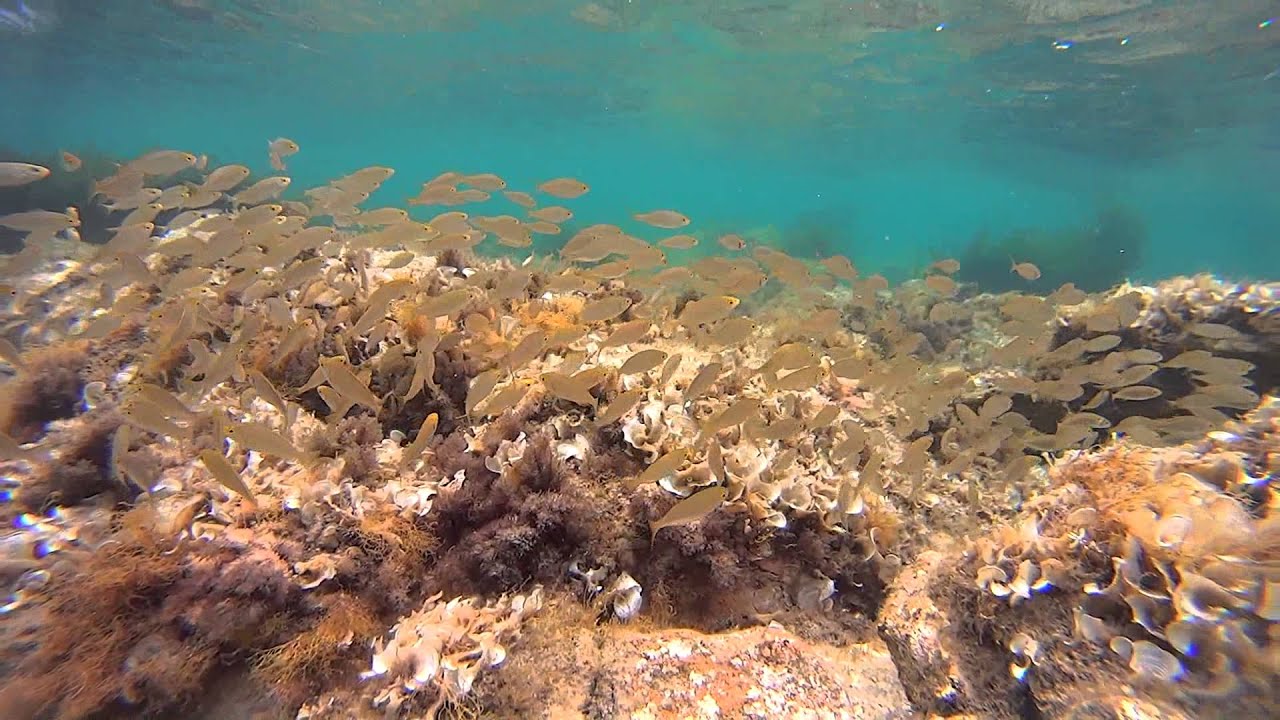 2015/06/15 - Sardinia, Olbia, Pittulongu (1)