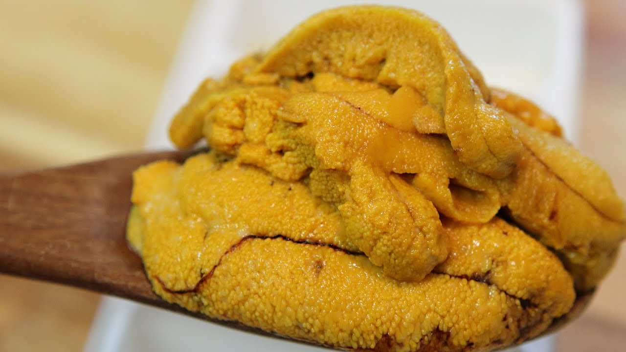 성게알 맛없다고 하는 사람은 보세요. 제대로 된 성게알(우니)은 이래야 합니다.