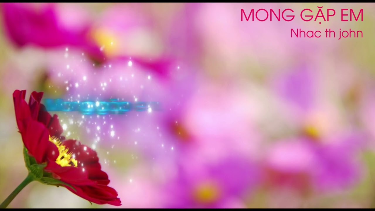 MONG GẶP EM