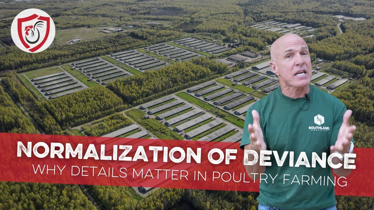 Normalization of Deviance: Why Details Matter in Poultry Farming