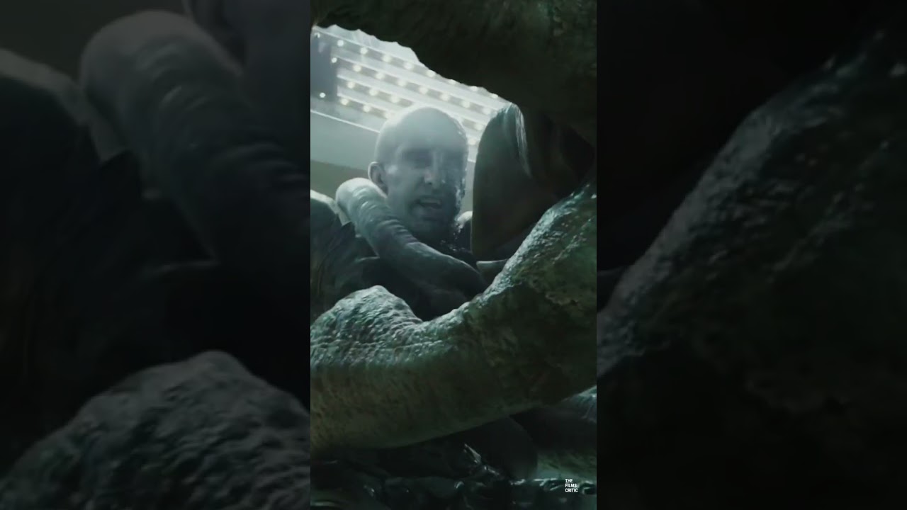 The REAL Alien Vs. Predator! #prometheus #alien #alienromulus #predator #ridleyscott #shorts