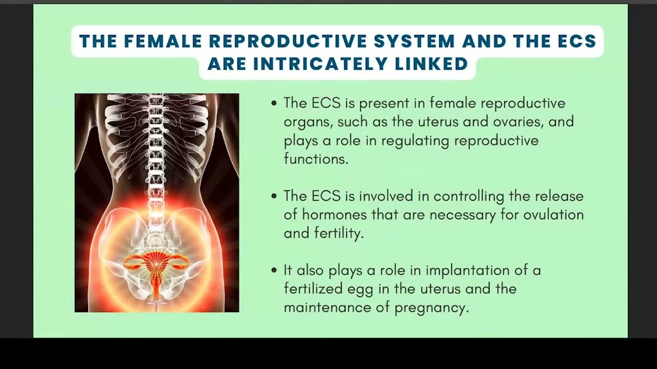 The Consumer Cannabis Council Presents: Women's Health & Cannabis - The Female body and Cannabis