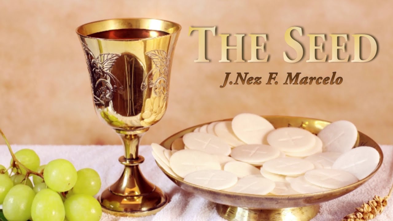 St Venantius Choir - The Seed - J Nez F Marcelo