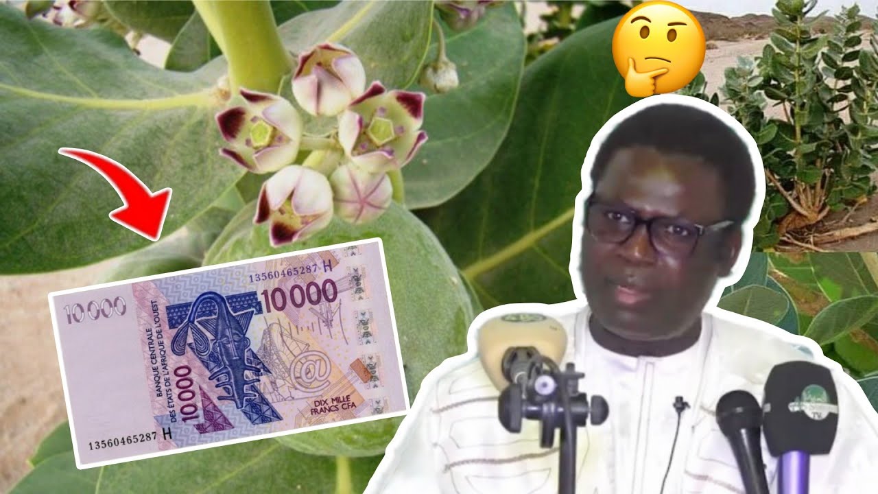 Poftan ku ko Xam xaliss dinal yombu Ay Secret yu doywar mo ci nék dégal Li... 