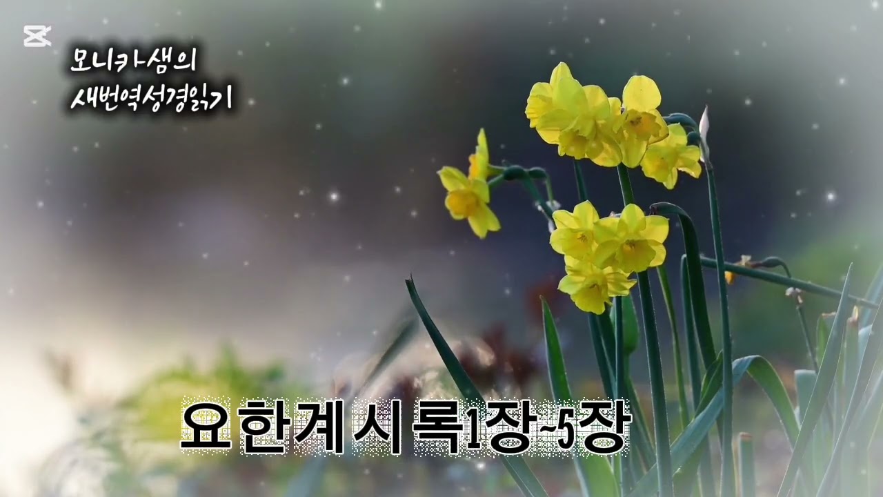 새번역성경읽기 #요한계시록1장~5장#하늘샘교회 #한국어성경읽기 