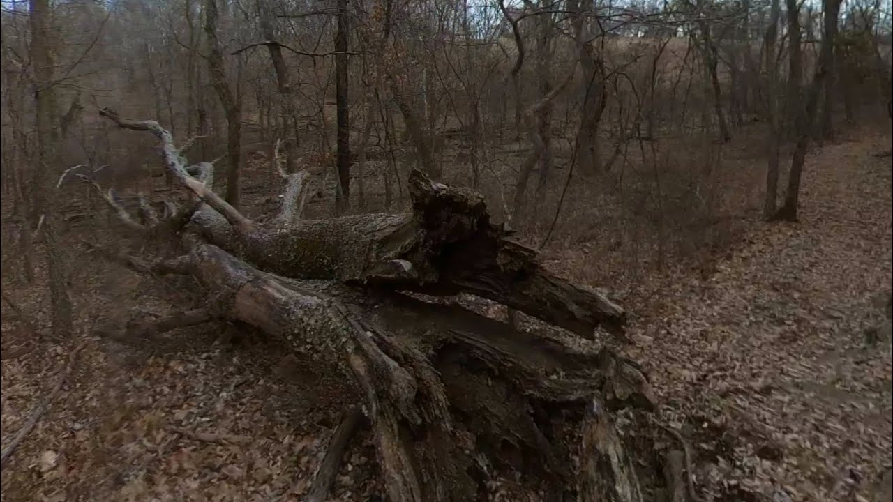 Nyblad Trail Nature Walk | Peaceful Forest Hike & Amphitheater Scenery in 4K