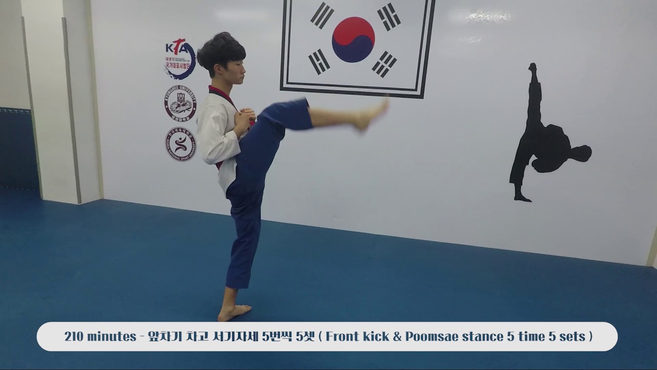 Daily 1 hour poomsae training