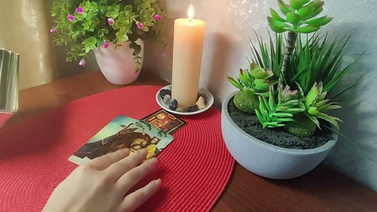 🍀🔮💫На что вам следует обратить внимание ⁉️ Расклад таро на 4 Королевы 💫🎁🌿