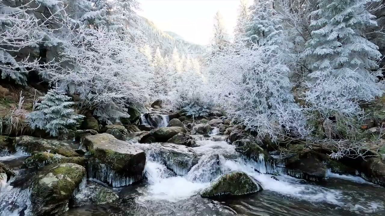 Peaceful Winter Stream | Flowing Water, Birds & Mountains