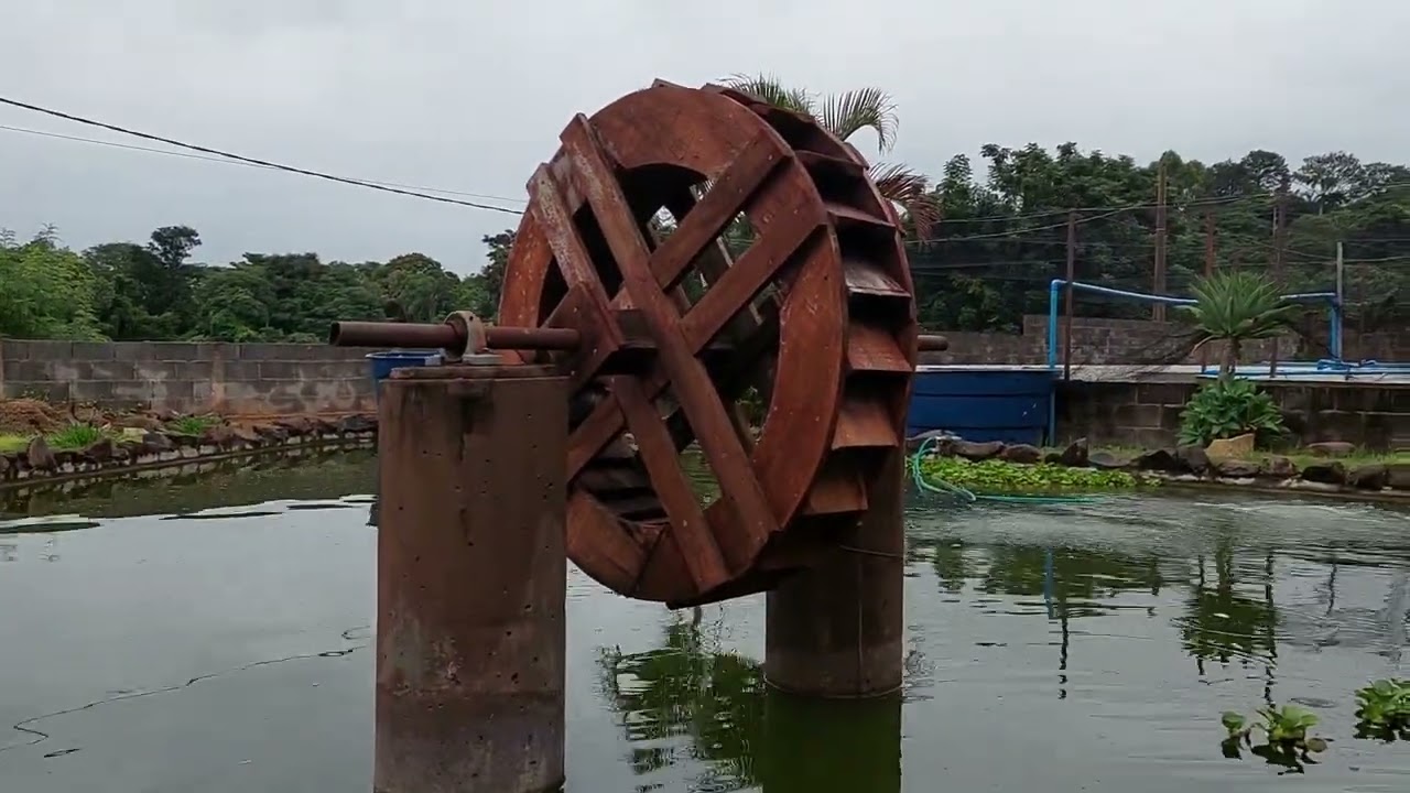 OLHA O QUE ESTÁ ACONTECENDO COM O LAGO PRINCIPAL   canal saalada