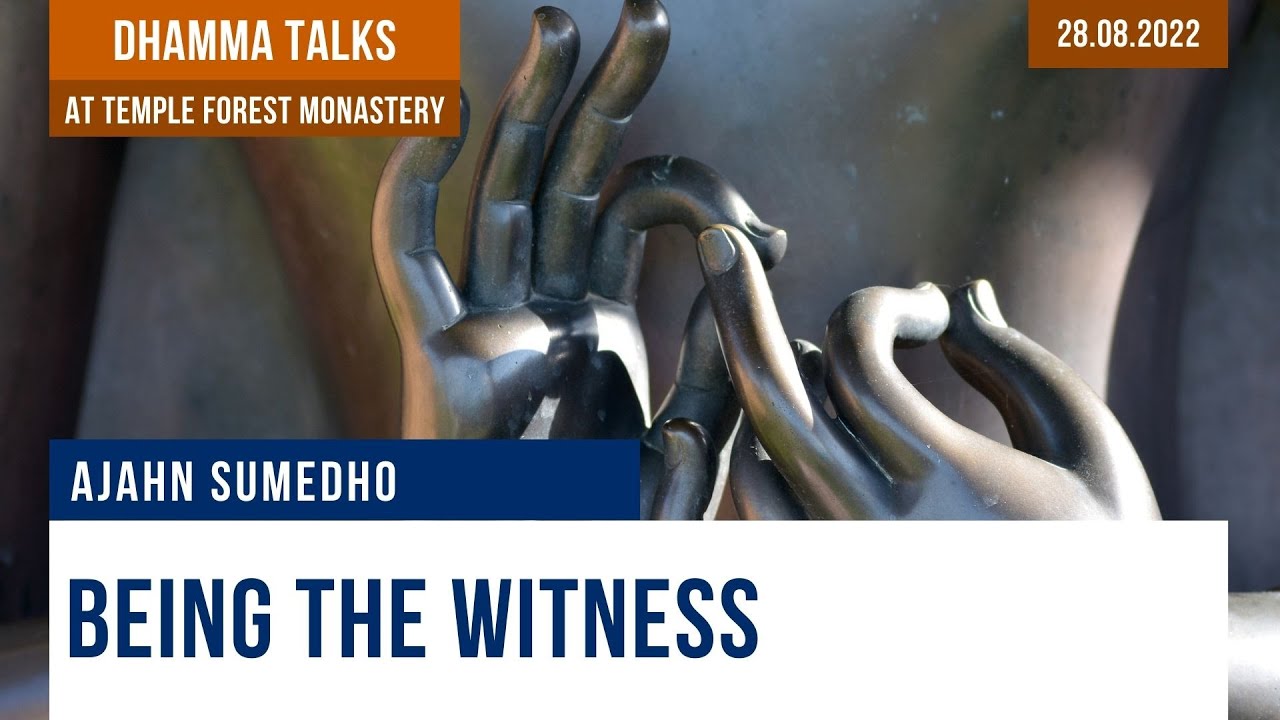 Being the Witness | Ajahn Sumedho | 28.08.2022