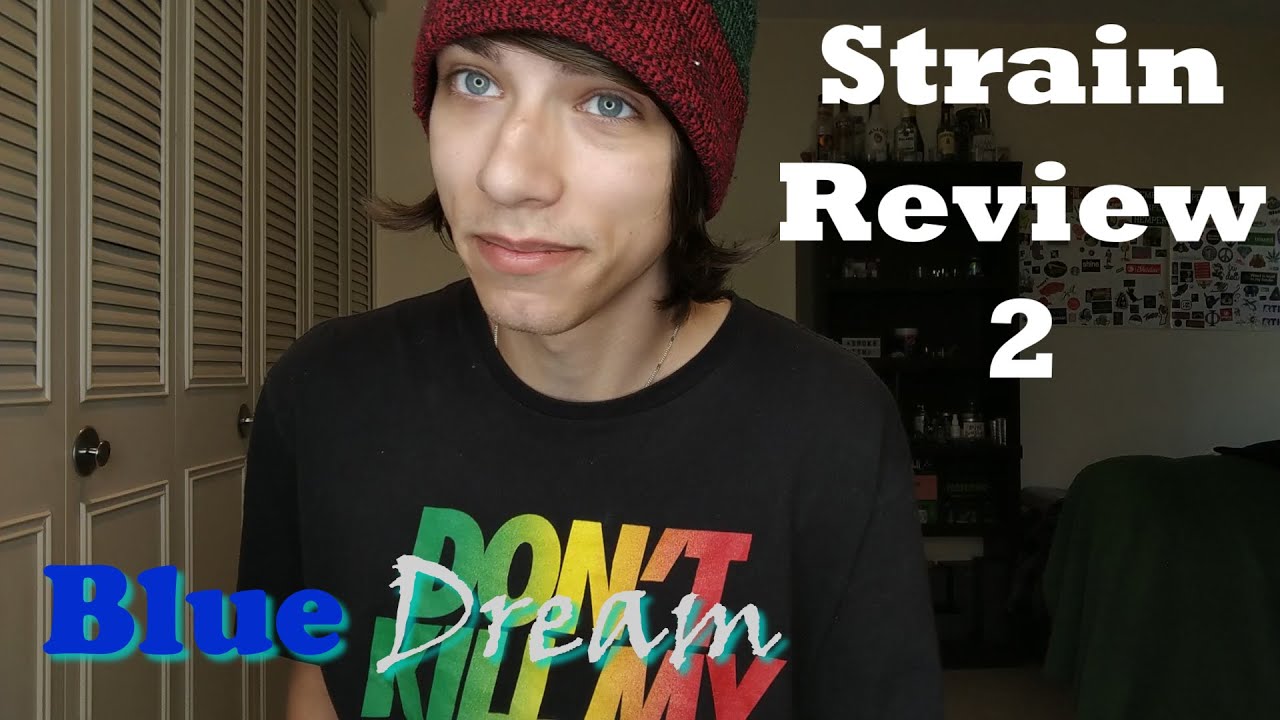 Strain Review 2.0 Blue Dream x Forbidden Fruit