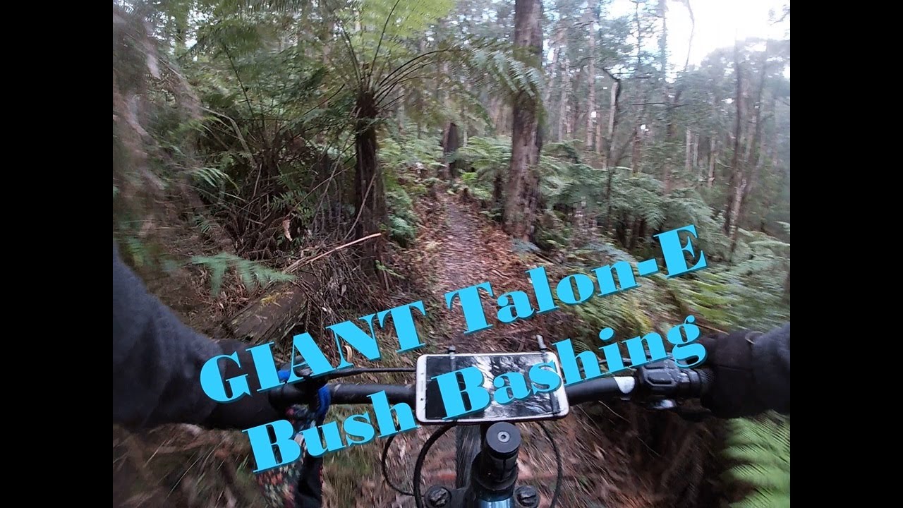 Giant Talon-E Bush Bashing