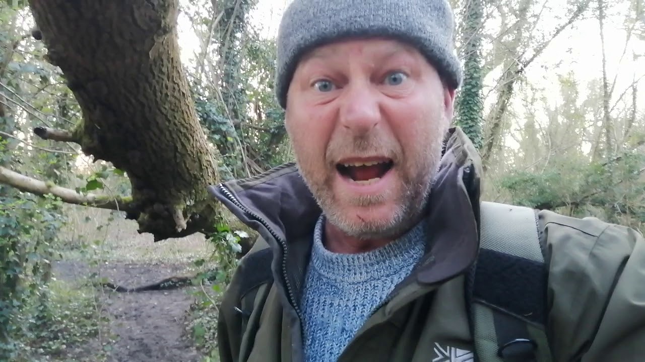 How to light a fire with Fungi - the wonders of a King Alfred Cake