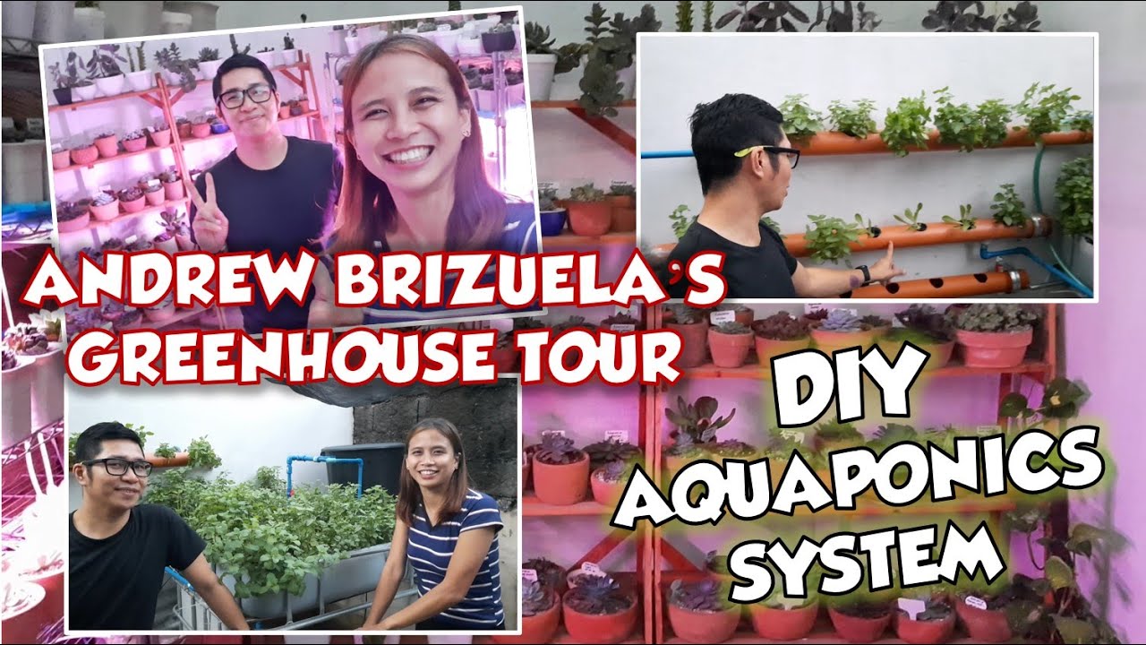 ANDREW BRIZUELA&rsquo;S GREENHOUSE TOUR AND HIS DIY AQUAPONICS | Vlog#88