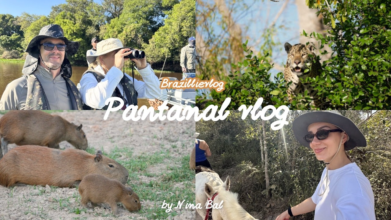 Brazil - Pantanal Vlog