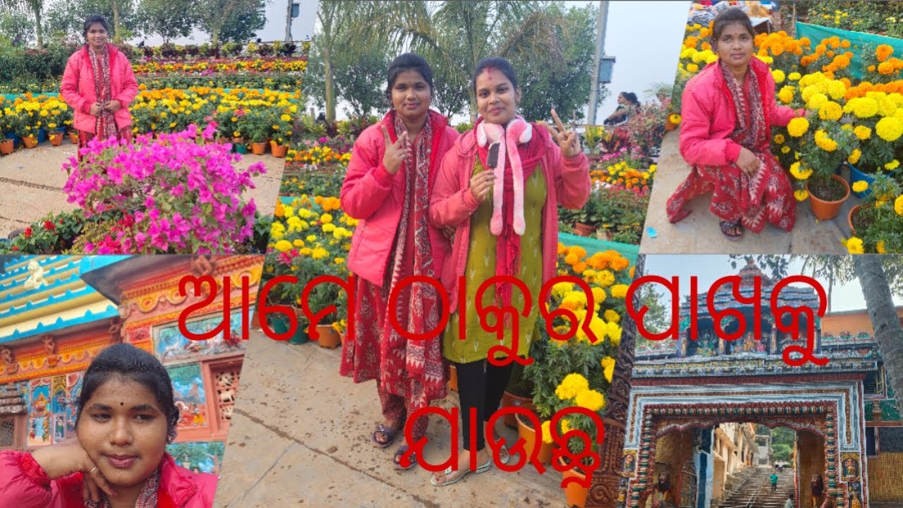 ଆମେ ଠାକୁର ପାଖକୁ ଯାଉଛୁ # like share subscribe support 🙏❤️