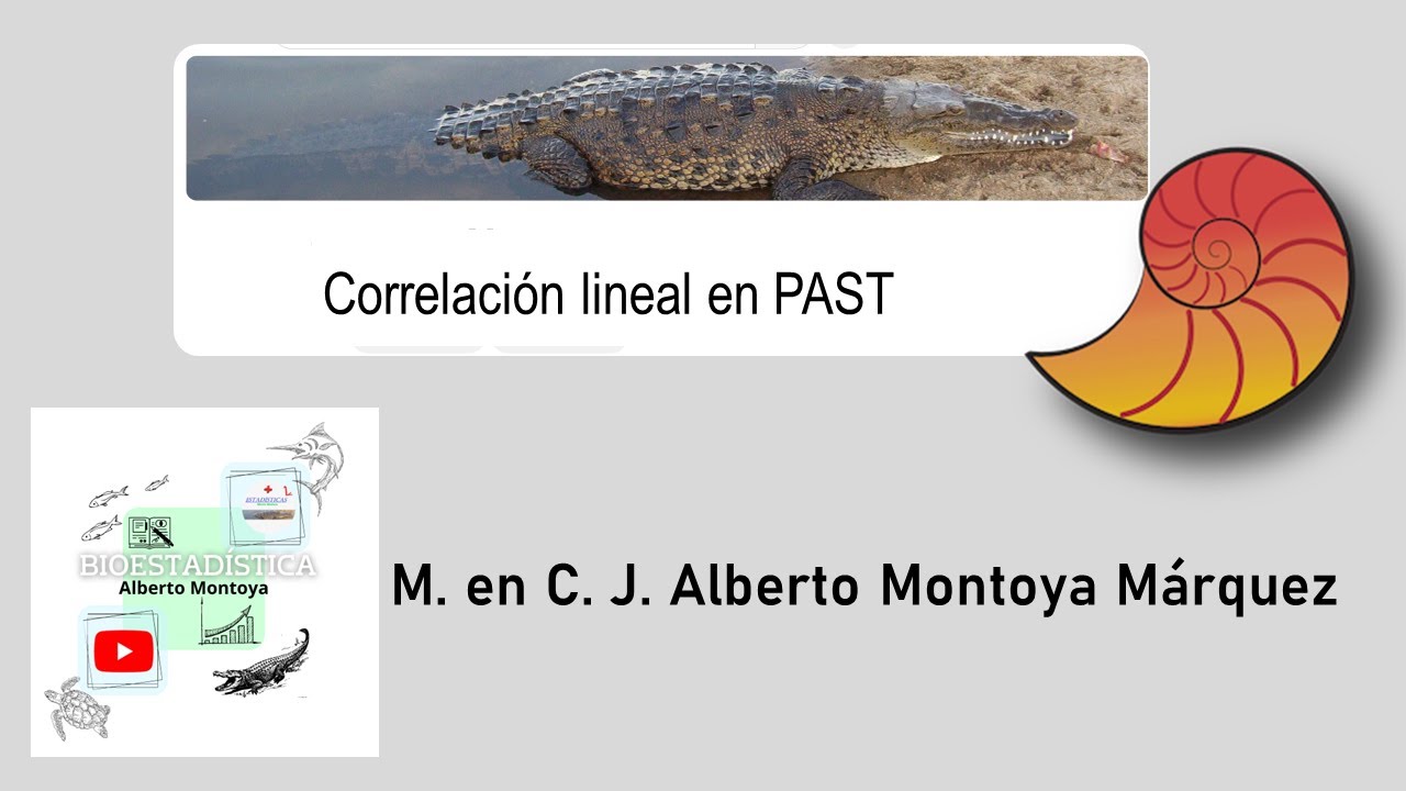 Correlación en Past