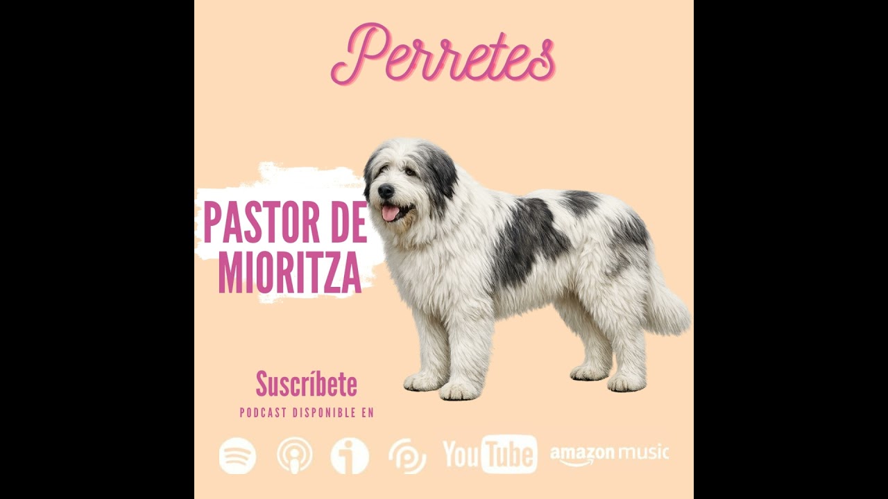 Ep:101 Pastor Miorítico