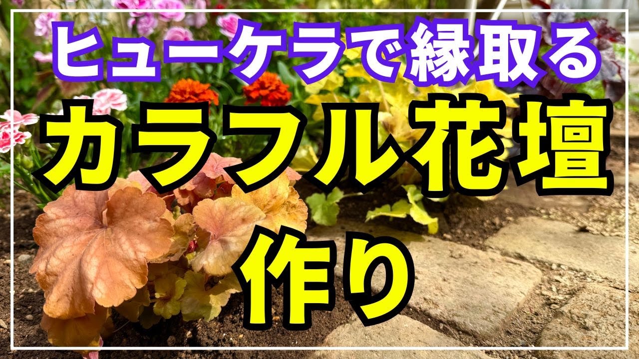 【春のガーデニング】色鮮やかなヒューケラを使ってカラフルな花壇を作ります。購入苗や鉢植え、雑貨も使用して楽しく華やかに！